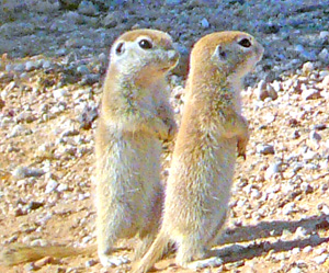 May 5 -- two sisters