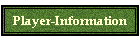 Player-Information