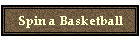 Spin a Basketball
