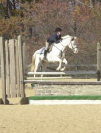 horse jumping