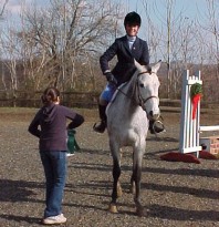 horse standing