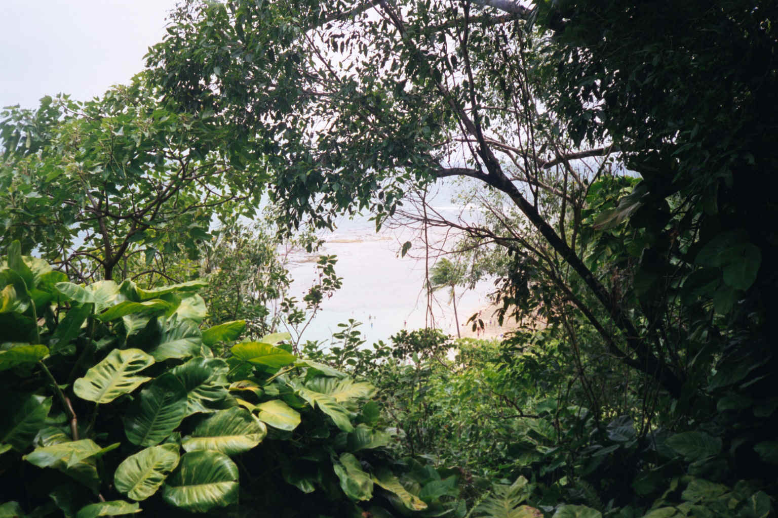 007_30a.jpg (627222 bytes)