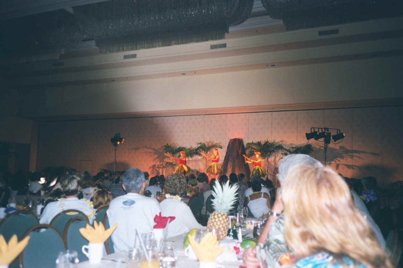 010_27a.jpg (308927 bytes)