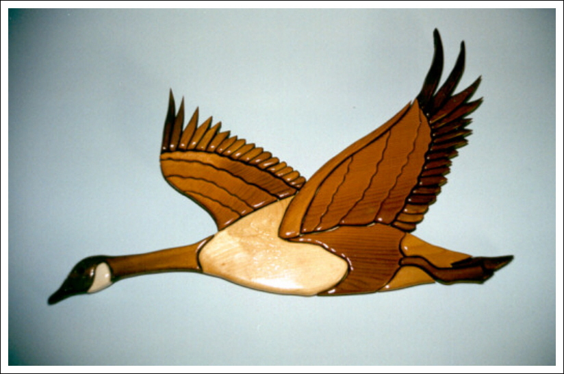 CANADIAN GOOSE