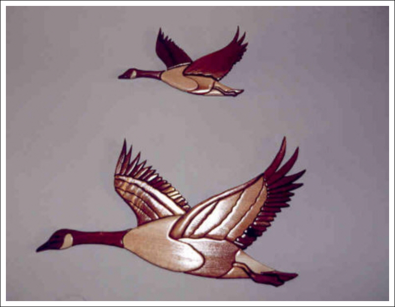 CANADIAN GOOSE WITH SMALLER GOOSE