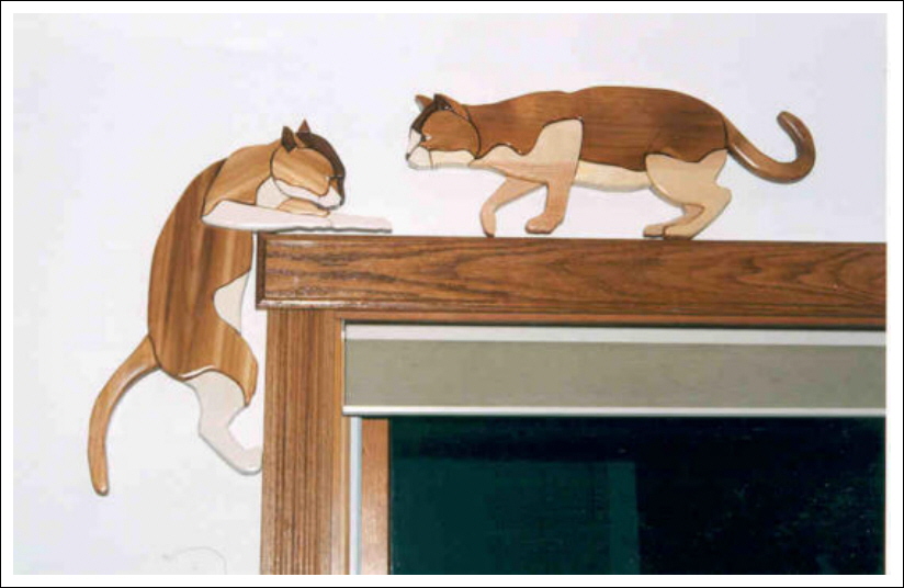 CORNER CATS