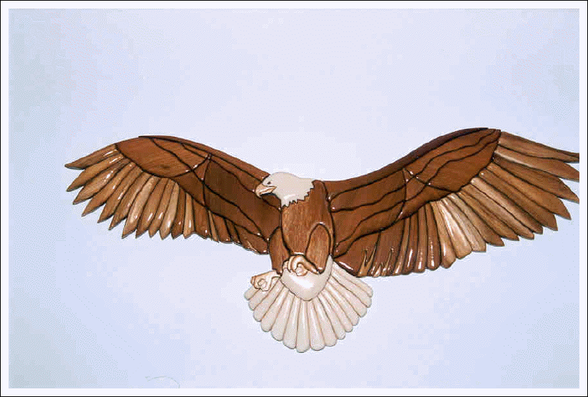 EAGLE SOARING