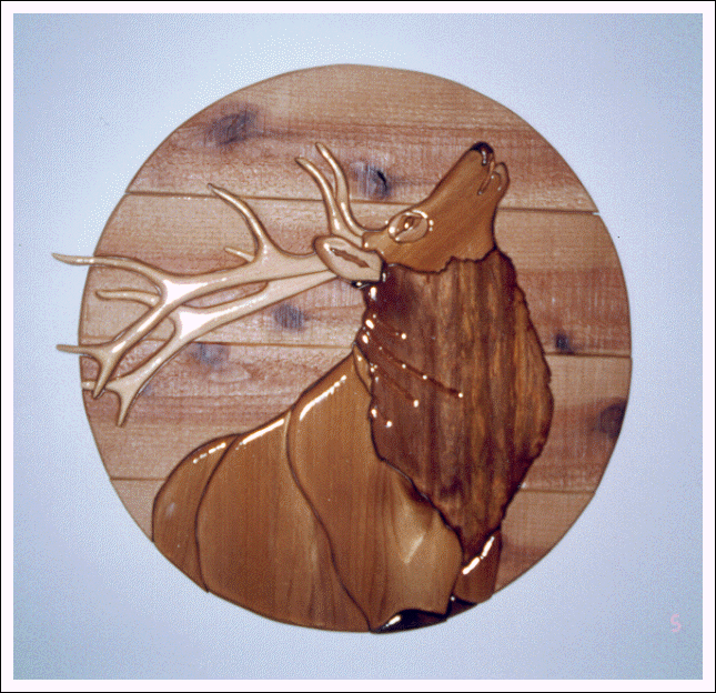 ELK ON ROUGH-SAWN BACKGROUND