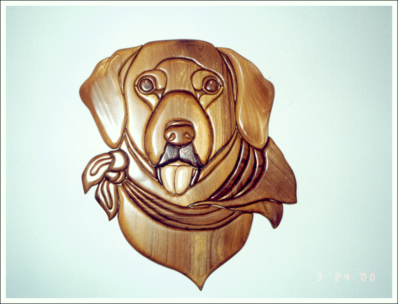 LABRADOR RETRIEVER