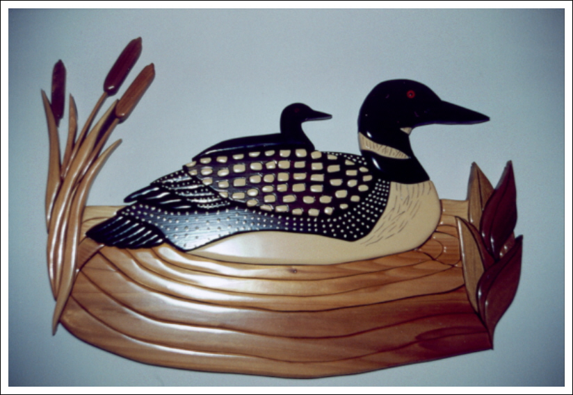 LOON ON LAKE