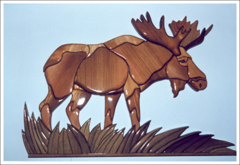 MOOSE