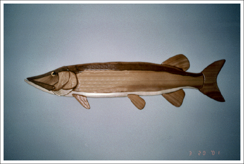 MUSKIE