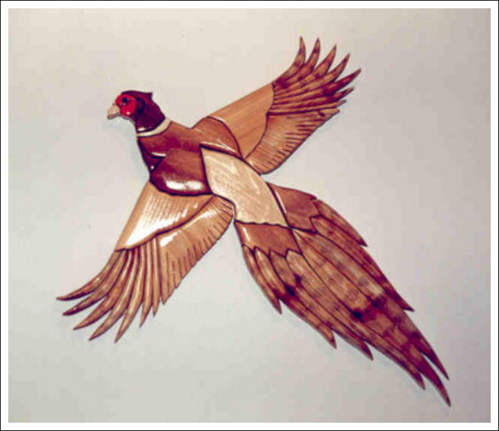 PHEASANT