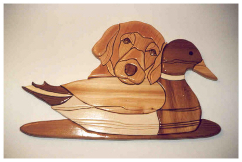 PUP AND DECOY