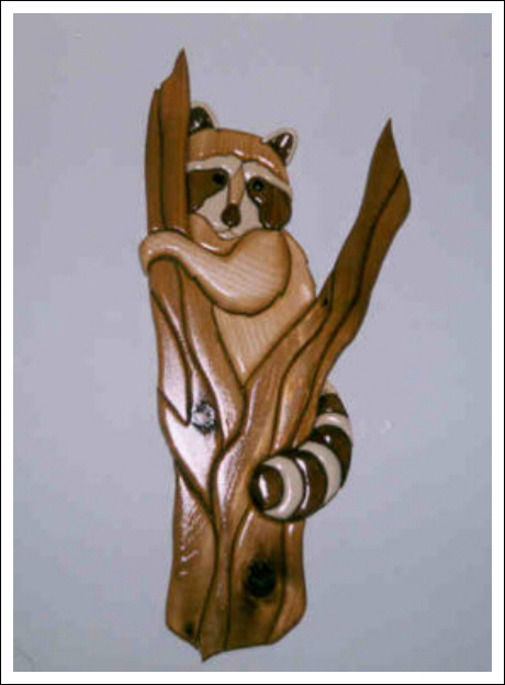 RACOON IN TREE
