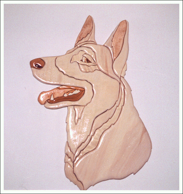 WHITE SHEPHERD