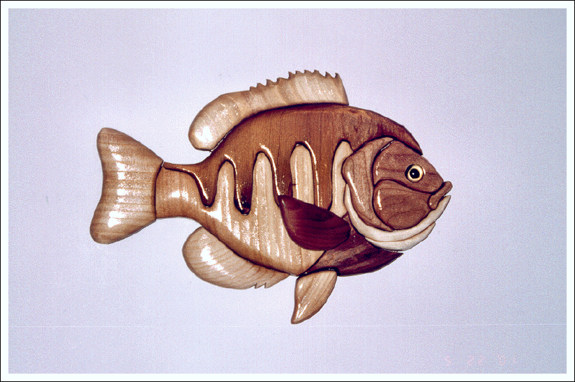 SUNFISH