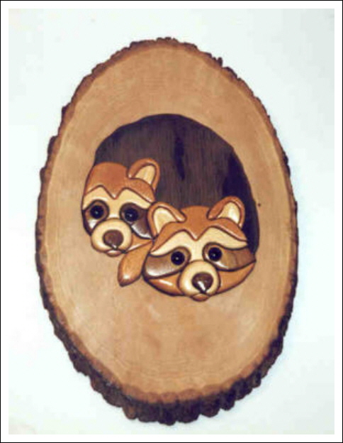 THE KNOT HOLE GANG