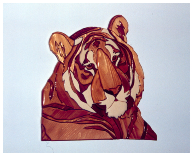 TIGER HEAD