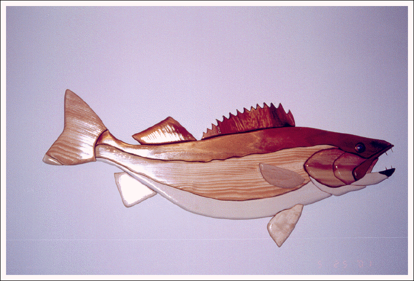 WALLEYE