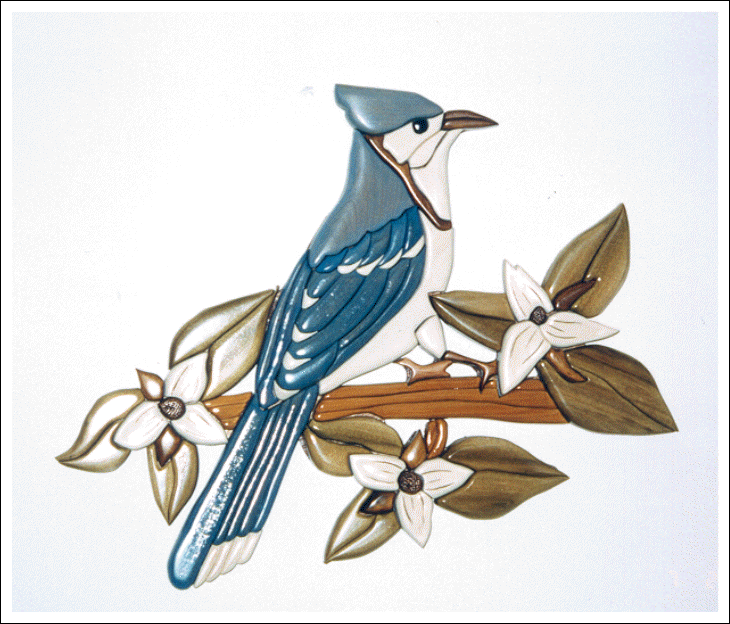BLUEJAY ON TRILLIUM
