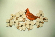 CARDINAL ON DOGWOOD