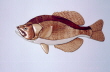 CRAPPIE