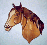 HORSE HEAD - DARK WOOD