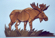 MOOSE