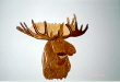 MOOSE HEAD