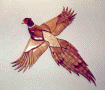 PHEASANT