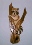 RACOON IN TREE
