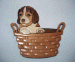 BEAGLE IN BASKET