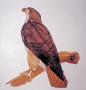 RED-TAILED HAWK