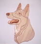 WHITE SHEPHERD
