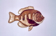 SUNFISH