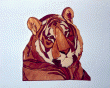 TIGER HEAD