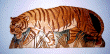 TIGER HUNTING