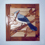 BLUEJAY IN FRAME