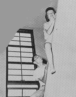 wittiest.jpg (14985 bytes)