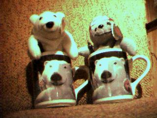 cokebears