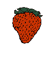aniberry