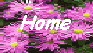 [Home Page]