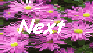 [Next Page]