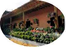 Casa Mexicana