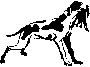 dog.gif (1413 bytes)