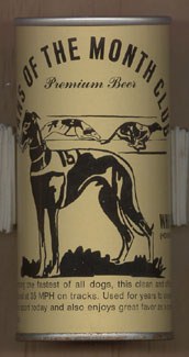 Whippet