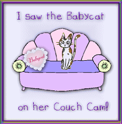 I caught Hope on the Babycat Cam