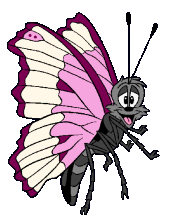 Butterfly 1