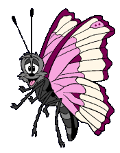 Butterfly 2